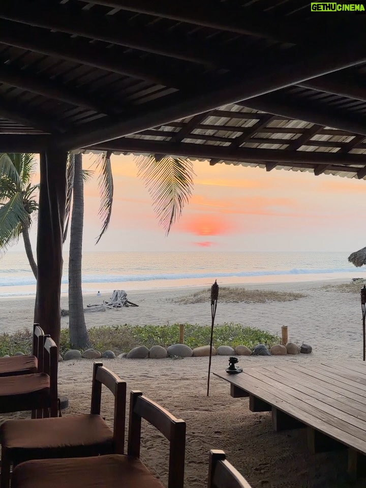 Dominika Paleta - 30.1K Likes - Playa viva es un proyecto  regenerativo , un lugar único que ha sido por años mi refugio, mi lugar de paz. Me encanta la comida, la energía, la naturaleza … la gente que año con año nos miramos, nos abrazamos y nos reconocemos.  Gracias un año más por estos días de re conexión y magia. ✨  love you 💞 @playaviva