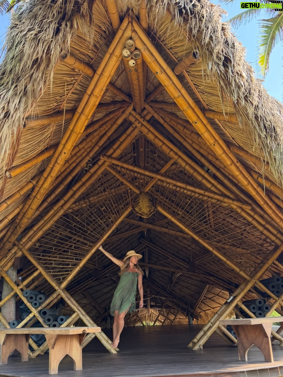 Dominika Paleta - 30.1K Likes - Playa viva es un proyecto  regenerativo , un lugar único que ha sido por años mi refugio, mi lugar de paz. Me encanta la comida, la energía, la naturaleza … la gente que año con año nos miramos, nos abrazamos y nos reconocemos.  Gracias un año más por estos días de re conexión y magia. ✨  love you 💞 @playaviva