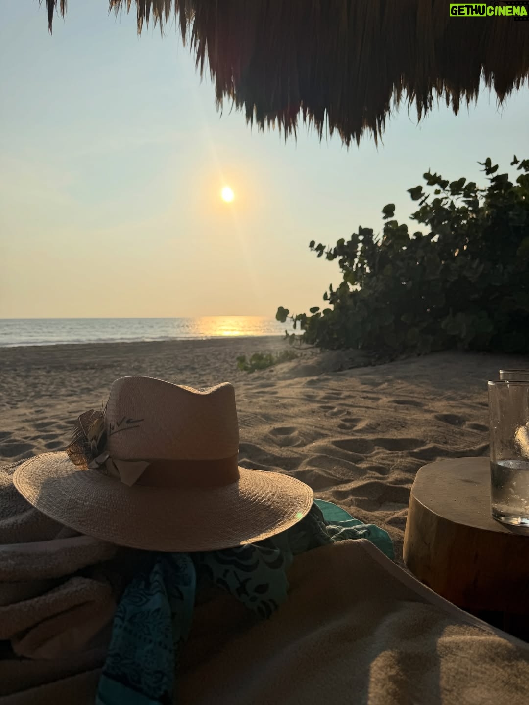 Dominika Paleta - 30.1K Likes - Playa viva es un proyecto  regenerativo , un lugar único que ha sido por años mi refugio, mi lugar de paz. Me encanta la comida, la energía, la naturaleza … la gente que año con año nos miramos, nos abrazamos y nos reconocemos.  Gracias un año más por estos días de re conexión y magia. ✨  love you 💞 @playaviva