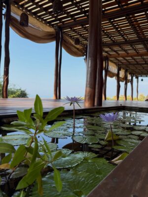 Dominika Paleta Instagram - Playa viva es un proyecto regenerativo , un lugar Ćŗnico que ha sido por aƱos mi refugio, mi lugar de paz. Me encanta la comida, la energĆa, la naturaleza ⦠la gente que aƱo con aƱo nos miramos, nos abrazamos y nos reconocemos. Gracias un aƱo mĆ”s por estos dĆas de re conexión y magia. ⨠love you š @playaviva