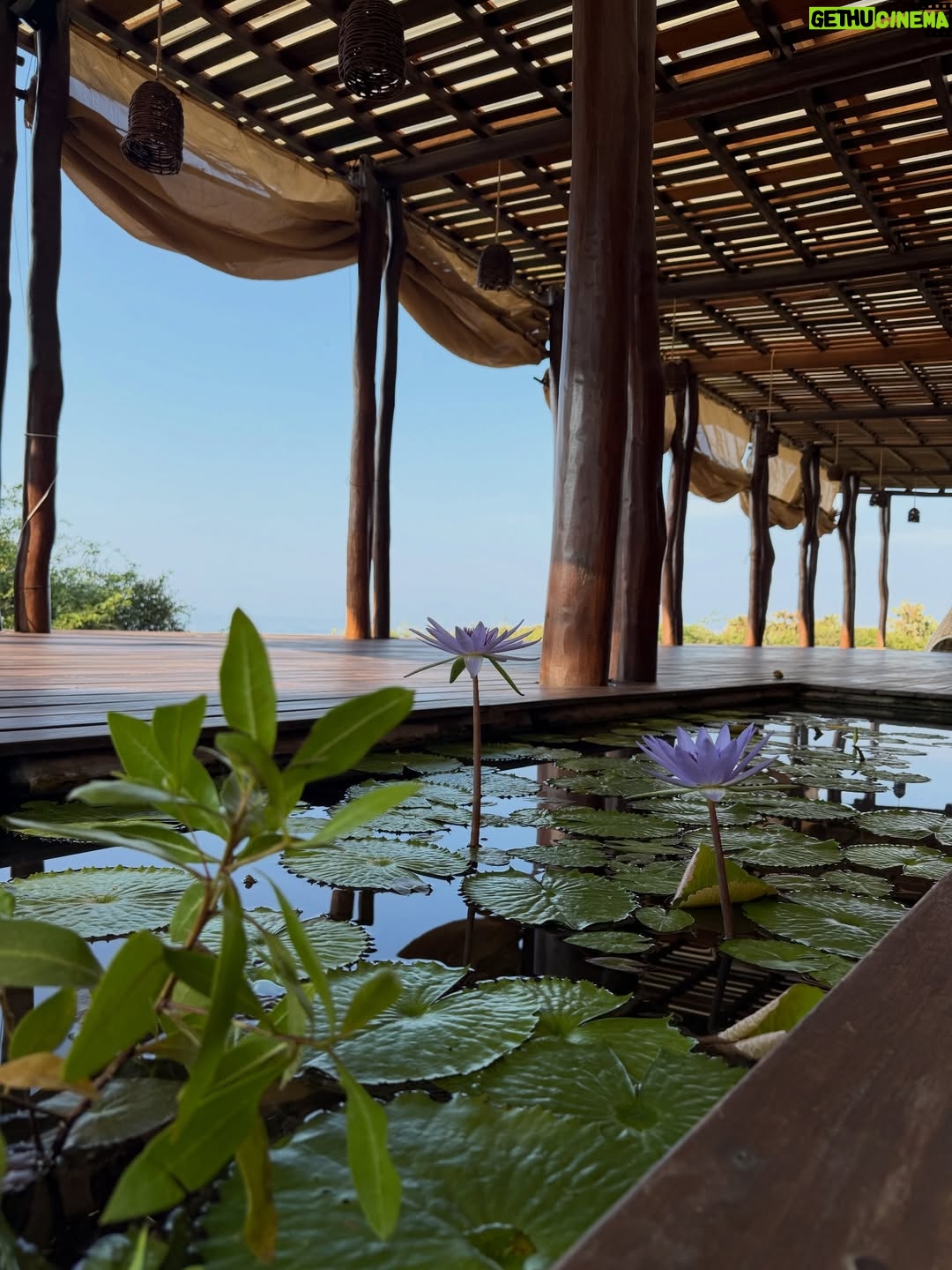 Dominika Paleta - 30.1K Likes - Playa viva es un proyecto  regenerativo , un lugar único que ha sido por años mi refugio, mi lugar de paz. Me encanta la comida, la energía, la naturaleza … la gente que año con año nos miramos, nos abrazamos y nos reconocemos.  Gracias un año más por estos días de re conexión y magia. ✨  love you 💞 @playaviva