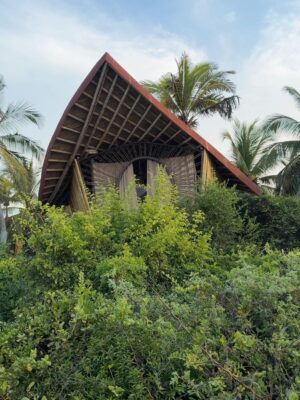 Dominika Paleta Instagram - Playa viva es un proyecto regenerativo , un lugar Ćŗnico que ha sido por aƱos mi refugio, mi lugar de paz. Me encanta la comida, la energĆa, la naturaleza ⦠la gente que aƱo con aƱo nos miramos, nos abrazamos y nos reconocemos. Gracias un aƱo mĆ”s por estos dĆas de re conexión y magia. ⨠love you š @playaviva