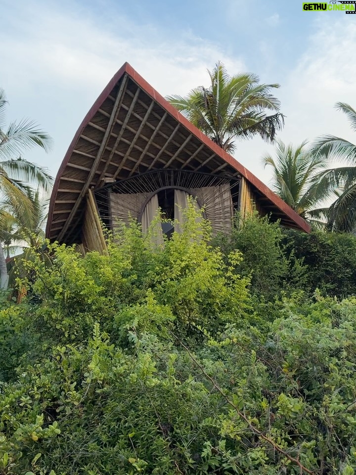 Dominika Paleta - 30.1K Likes - Playa viva es un proyecto  regenerativo , un lugar único que ha sido por años mi refugio, mi lugar de paz. Me encanta la comida, la energía, la naturaleza … la gente que año con año nos miramos, nos abrazamos y nos reconocemos.  Gracias un año más por estos días de re conexión y magia. ✨  love you 💞 @playaviva