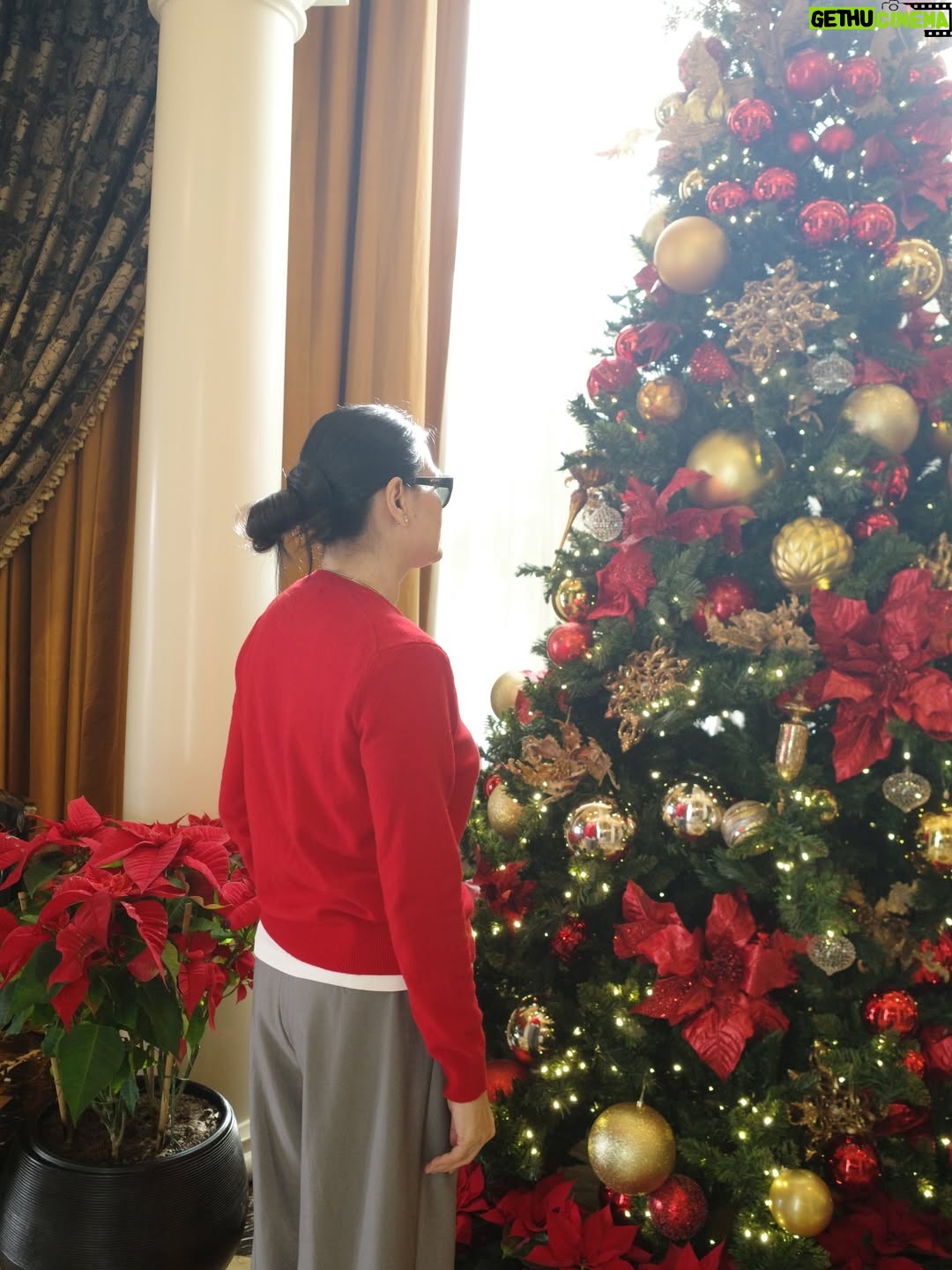 Donna Harun - 37.5K Likes - Auto foto dong di pohon natal untuk ucapain Selamat Natal untuk temen-temen yang merayakan🎄✨

Semoga damai Natal senantiasa selalu beserta kita semua🤍