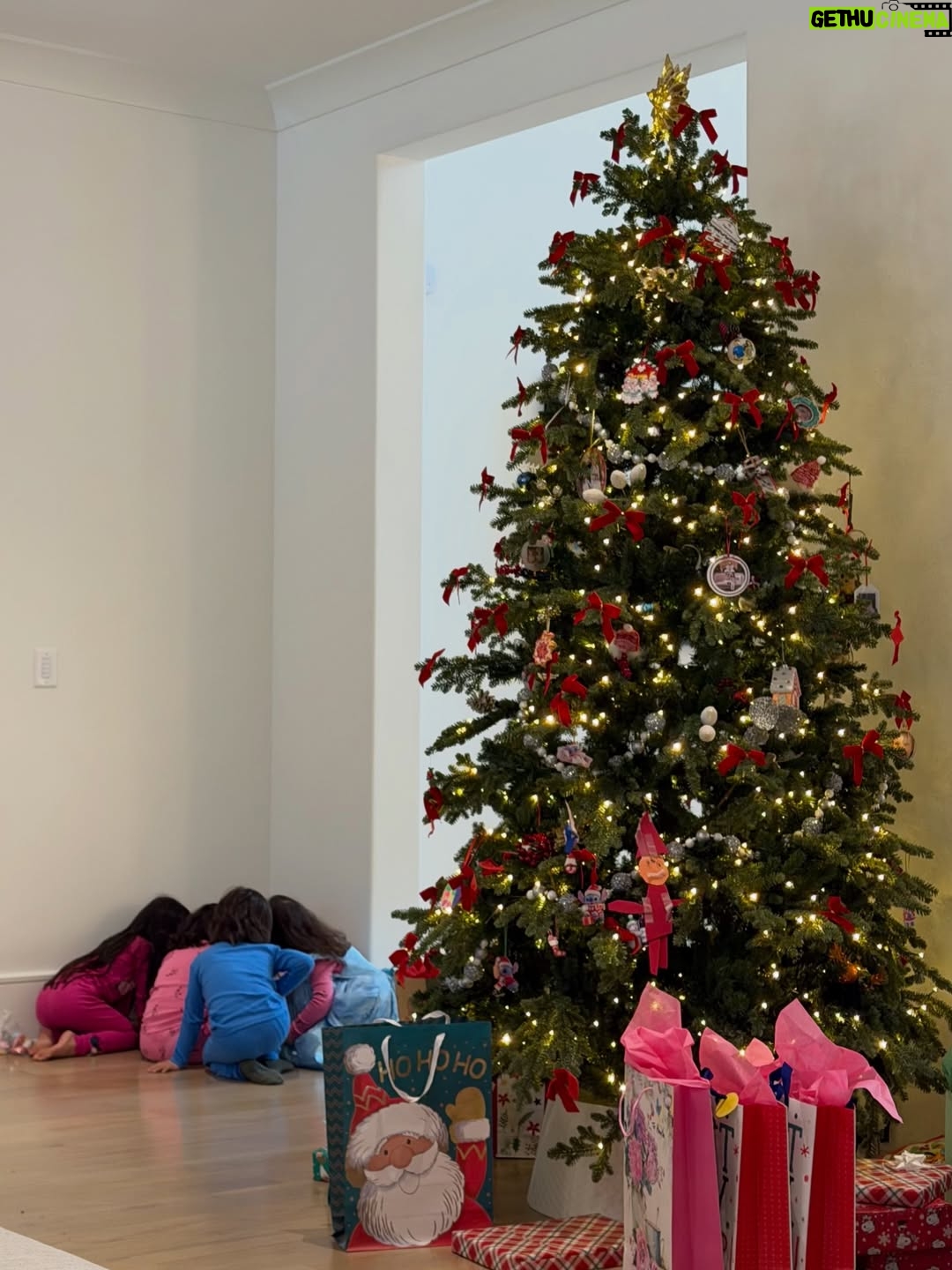Donya Dadrasan - 3 Likes - Merry Christmas ❤️