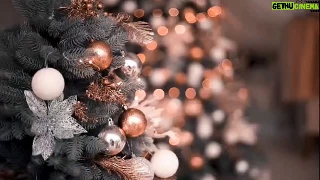 Doris Simeon - 411 Likes - Christmas Isn't A Season. It's A Feeling." 🎄❤️‍🩹🎄❤️‍🩹
Lovelies from DMV All STAR USA
We Say Merry Christmas In Advance 
Please click the link on my Bio to watch and enjoy the full video on my YouTube Channel Toyin Adewale TV
Please subscribe as well 🙏 
God bless you as you do so 🙏
Love you ♥️♥️♥️