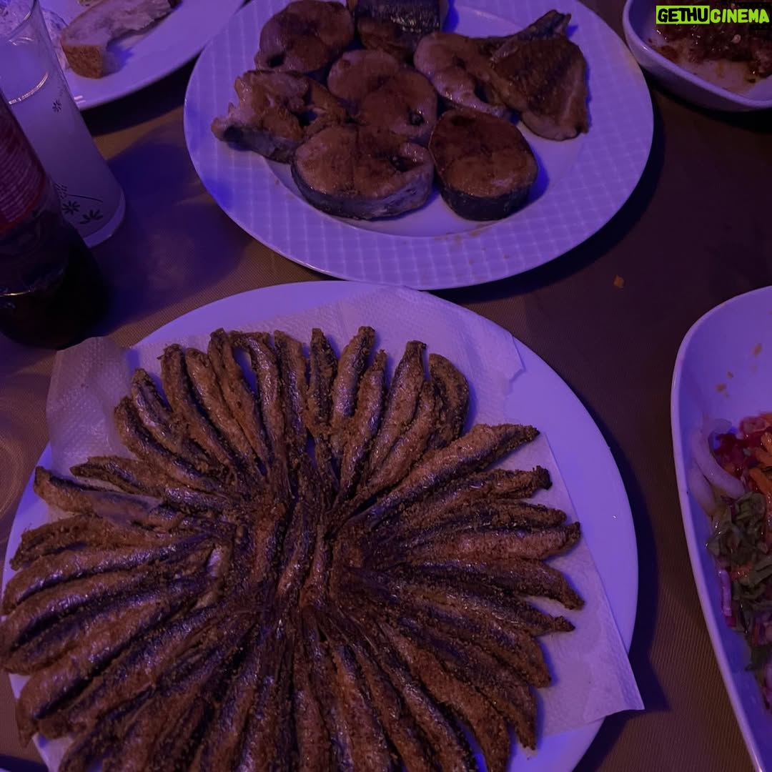 Ece Dizdar - 3K Likes - Bu salağahanaluk bir dump haketti. Maalesef bunlar paylaşabileceklerim, kaçtığımız delikler, dağların kavukları,  iskeleler bana kalsın😎

4 koca gün gece Artvin, Hemşin, Fındıklı, Hopa, Sarp, Kemalpaşa, bizi köylerde evlerinde sobalarını yakıp yediren içiren güzel kadınlar, yollarda bana gözbebeği gibi bakan @guness008 ve @yarensu_ustabas
 Uyyy yaşaduğumuz buralara sığmaz !

Mükemmel’i Artvin’de Hopa’da gösteren @iscifilmfest ve Kemalpaşa’da gösteren @halkevci_kadnlar_hopa_k.pasa ‘ya teşekkürlerimle🌱🍃🌲☘️