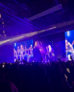 Elnaz Golrokh Instagram - What. A. Night. 😍
Thank you @isima for the most unforgettable Shakira experience 💃✨
Music, energy, and beauty all in one 💃🏻🫶🏻❤️‍🔥
Can’t wait to try the new hair launch too!