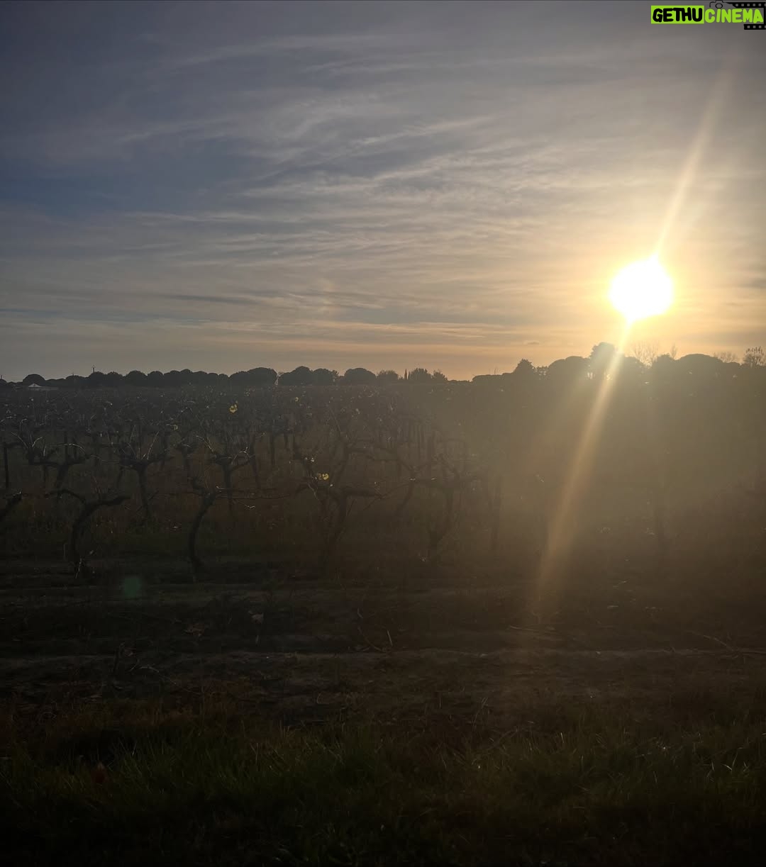 Elsa Lunghini - 5.3K Likes - 🚶‍♀️Et vous? C’est quoi votre façon de décompresser le week-end?
.
.

#sunday 
#weekendvibes 
#marche