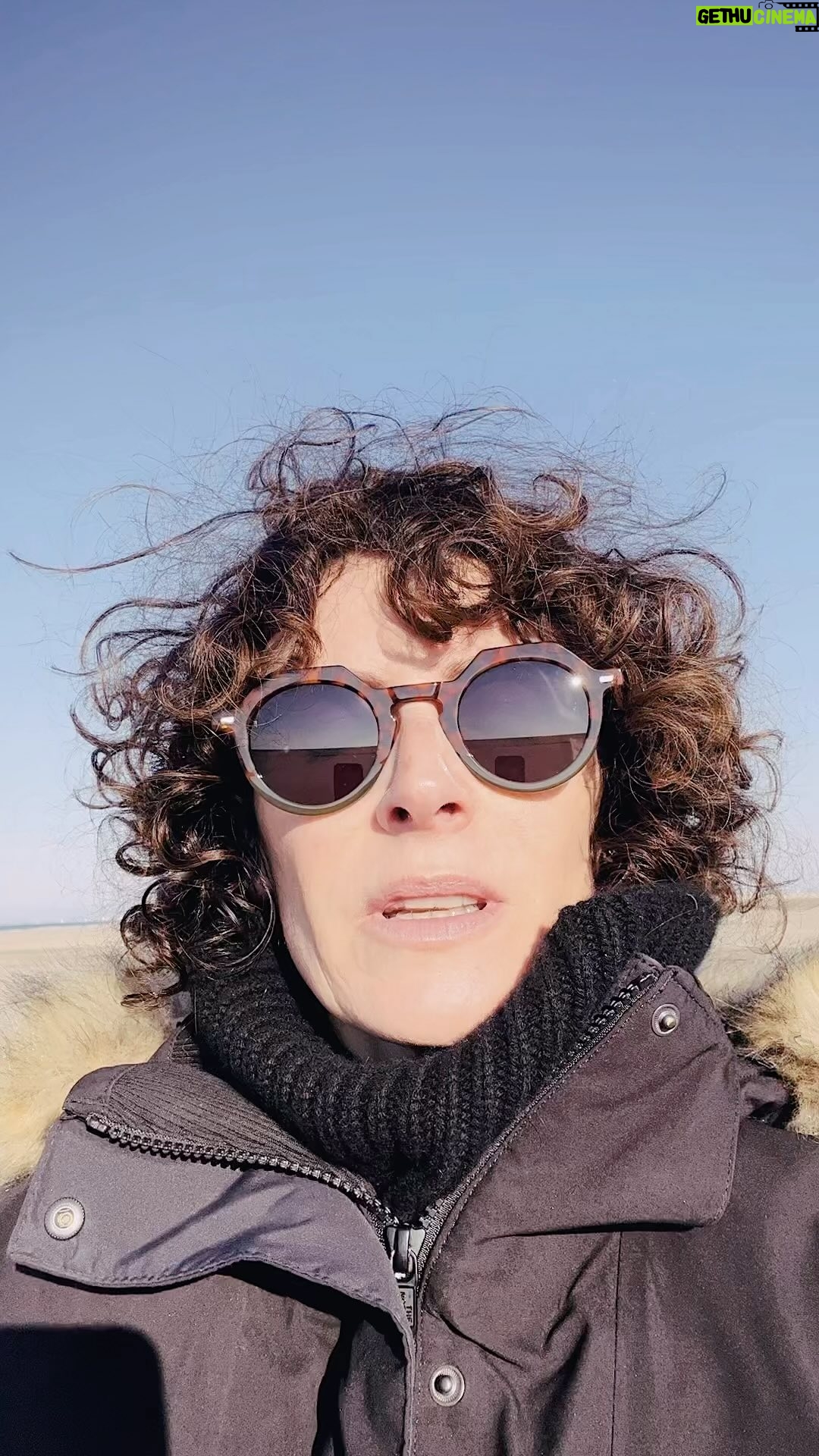 Elsa Lunghini - 11.5K Likes - La Camargue…💜
.
.
#weekend