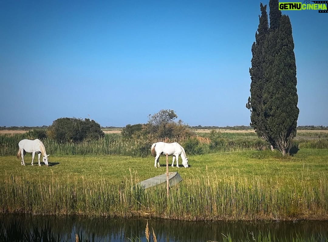 Elsa Lunghini - 3 Likes - Décor du jour 🦩
.
.
#itc #serie #tf1 #camargue