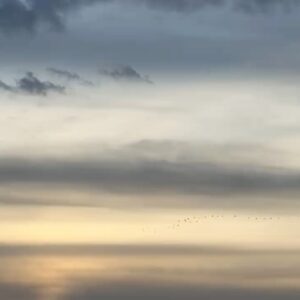 Elsa Lunghini Instagram - En ballade ça et là, voir et entendre le départ des grues vers la douceur d’un autre continent. 
.
.
#sunday 
#camargue
