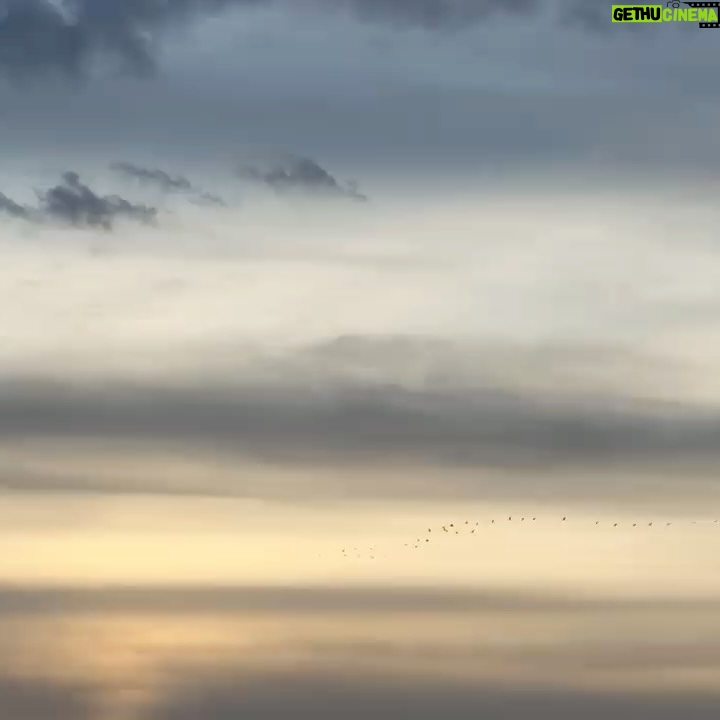 Elsa Lunghini - 3 Likes - En ballade ça et là, voir et entendre le départ des grues vers la douceur d’un autre continent. 
.
.
#sunday 
#camargue