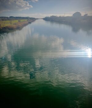 Elsa Lunghini Instagram - Lever les yeux, regarder autour de soi, être ému, surpris, émerveillé par la richesse et la beauté des paysages. Redécouvrir ce que l’on connaît déjà, sous un autre jour, une autre lumière. Le regard n’est jamais le même, il se pose mais ne voit pas toujours, il s’évade mais ne s’égare pas forcément, il mue en fonction de notre disponibilité et de notre capacité à percevoir le visible comme l’invisible. Une attention portée au monde bien au delà des apparences 💙
.
.
#mouvement
#photography
#paysage
#camargue
