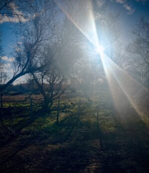 Elsa Lunghini Instagram - Lever les yeux, regarder autour de soi, être ému, surpris, émerveillé par la richesse et la beauté des paysages. Redécouvrir ce que l’on connaît déjà, sous un autre jour, une autre lumière. Le regard n’est jamais le même, il se pose mais ne voit pas toujours, il s’évade mais ne s’égare pas forcément, il mue en fonction de notre disponibilité et de notre capacité à percevoir le visible comme l’invisible. Une attention portée au monde bien au delà des apparences 💙
.
.
#mouvement
#photography
#paysage
#camargue