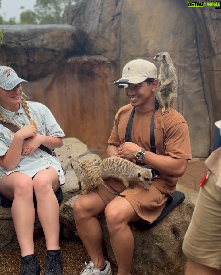 Emma Watkins - 5.2K Likes - Meerkat Monday is just the start of our adventures @australiazoo 🫶🏽🥹 Very fortunate to spend time here with our beautiful team, experiencing what the Irwin’s and their crew have nurtured for so many people to be inspired by and in turn give back to wildlife everywhere 🫶🏽