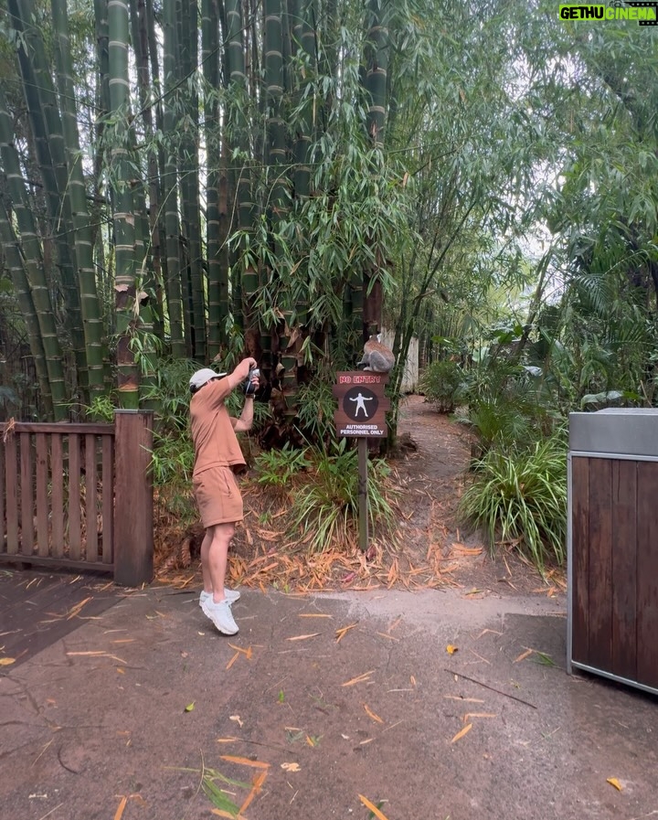 Emma Watkins - 5.2K Likes - Meerkat Monday is just the start of our adventures @australiazoo 🫶🏽🥹 Very fortunate to spend time here with our beautiful team, experiencing what the Irwin’s and their crew have nurtured for so many people to be inspired by and in turn give back to wildlife everywhere 🫶🏽