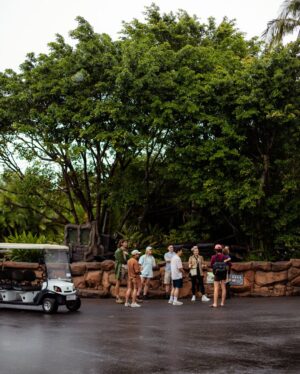 Emma Watkins Instagram - Meerkat Monday is just the start of our adventures @australiazoo 🫶🏽🥹 Very fortunate to spend time here with our beautiful team, experiencing what the Irwin’s and their crew have nurtured for so many people to be inspired by and in turn give back to wildlife everywhere 🫶🏽