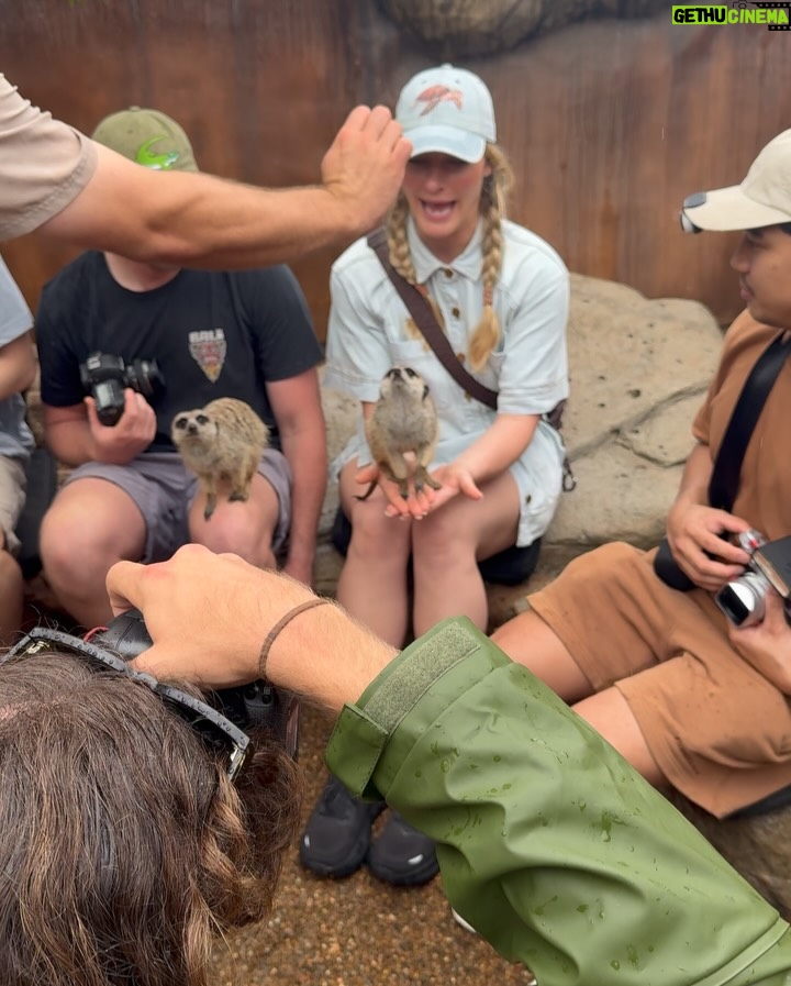 Emma Watkins - 5.2K Likes - Meerkat Monday is just the start of our adventures @australiazoo 🫶🏽🥹 Very fortunate to spend time here with our beautiful team, experiencing what the Irwin’s and their crew have nurtured for so many people to be inspired by and in turn give back to wildlife everywhere 🫶🏽