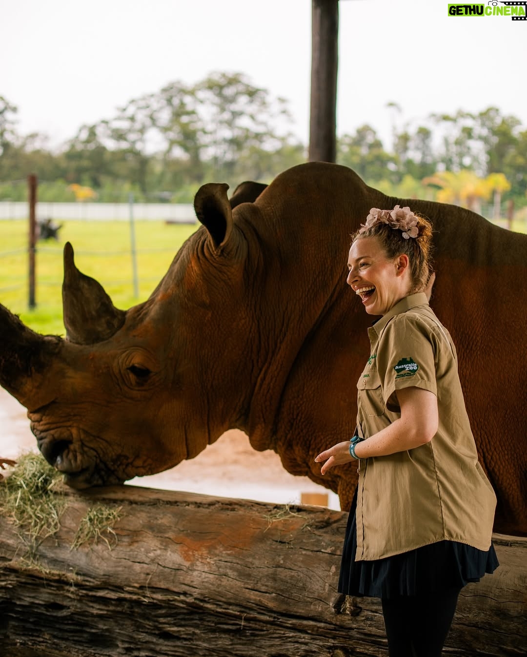 Emma Watkins - 5.2K Likes - Meerkat Monday is just the start of our adventures @australiazoo 🫶🏽🥹 Very fortunate to spend time here with our beautiful team, experiencing what the Irwin’s and their crew have nurtured for so many people to be inspired by and in turn give back to wildlife everywhere 🫶🏽
