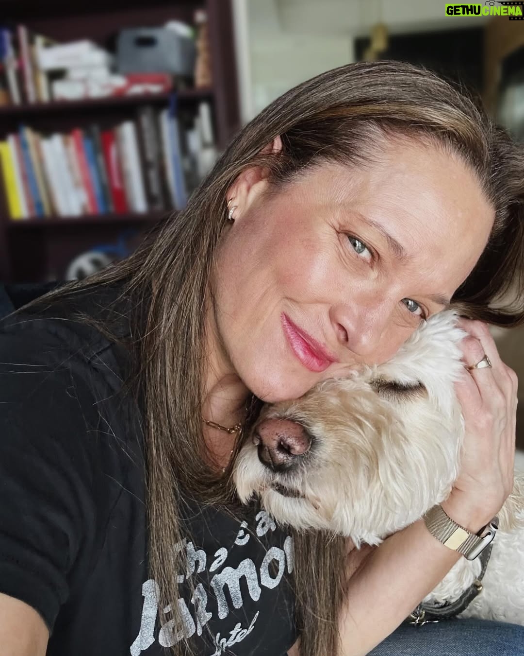 Erin Daniels - 7.4K Likes - I couldn’t ignore my girl, Roxy. This one here has my heart. Took an extended hiatus from instagram if you may or may not have noticed. Needed to focus on my wellbeing and my family for a while. So so grateful for the time, my people, and of course, my doggos.