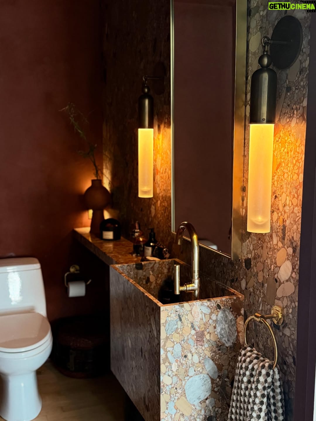 Erin Daniels - 3K Likes - The evolution of a powder room, designed by yours truly. Almost there… Thank you Amy @kamp, @apparatusstudio and @waterworks for the mewd… it’s sexy as hell!