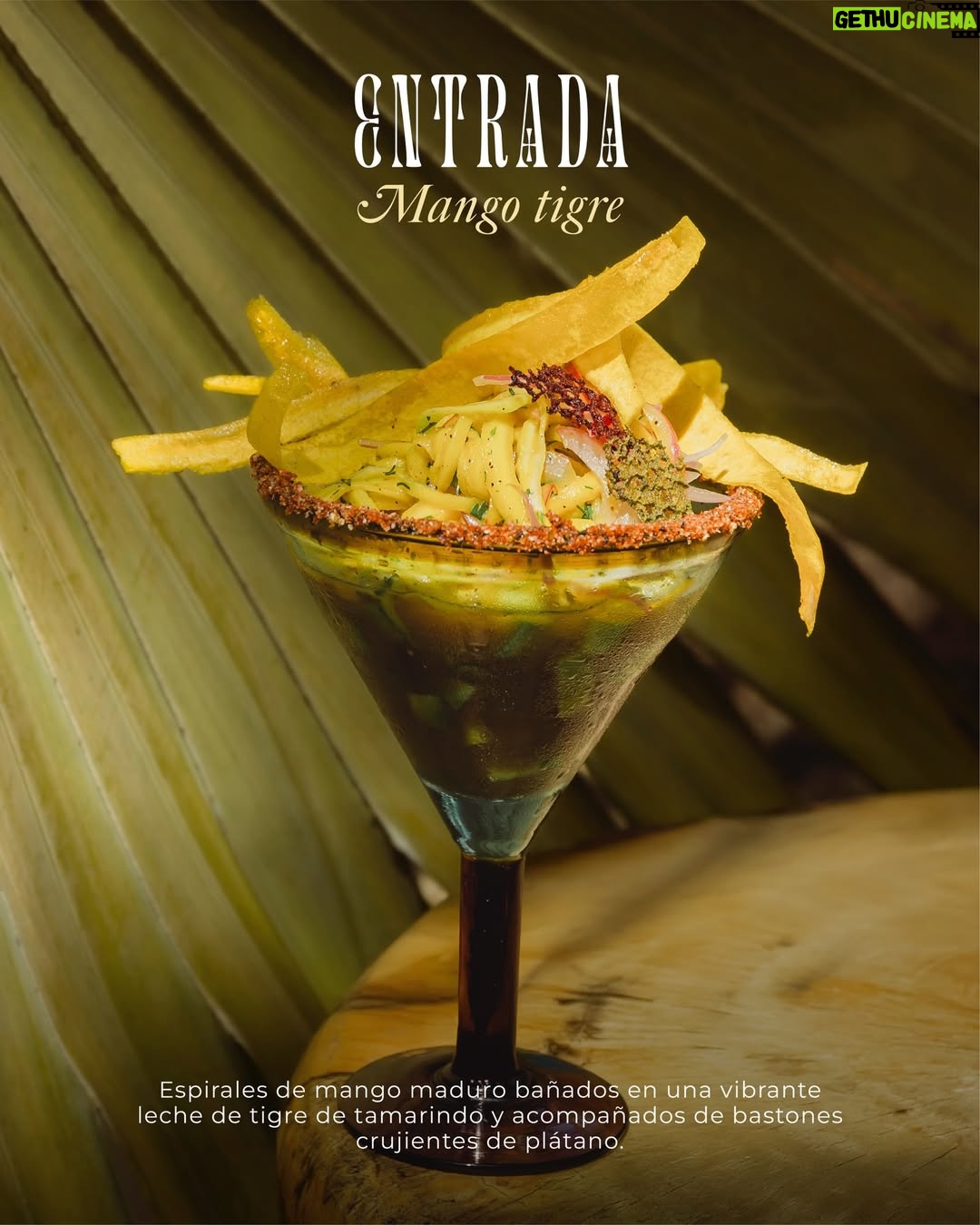 Estefanía Borge - 785 Likes - ✨ Pasadía en Cartagena, disponible por tiempo limitado.

En Éteka, el bienestar se vive —y se saborea— solo por un instante irrepetible.

Presentamos nuestro Seasonal Wellness Menu, una experiencia gastronómica creada junto a @estefiborge, disponible exclusivamente durante esta temporada.

Una propuesta pensada para quienes entienden que el verdadero lujo es efímero:

🍃 Entrada fresca que despierta los sentidos
✨ Platos principales inspirados en la tierra y el mar
🍫 Un postre final que invita a pausar, sentir y disfrutar sin culpa

Solamente disponible dentro de nuestro Pasadía VIP en Cartagena, diseñado para quienes buscan más que un destino: buscan conexión, belleza y sabor consciente.

📍 Éteka · Isla Tierra Bomba
⏳ Disponible por tiempo limitado
💬 Reserva tu pasadía en Cartagena antes de que esta experiencia se despida.