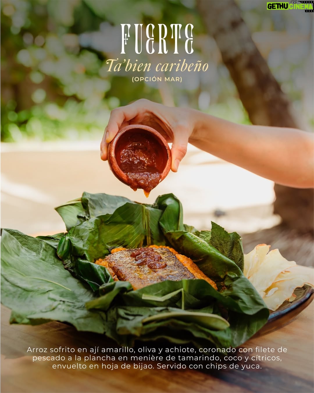 Estefanía Borge - 785 Likes - ✨ Pasadía en Cartagena, disponible por tiempo limitado.

En Éteka, el bienestar se vive —y se saborea— solo por un instante irrepetible.

Presentamos nuestro Seasonal Wellness Menu, una experiencia gastronómica creada junto a @estefiborge, disponible exclusivamente durante esta temporada.

Una propuesta pensada para quienes entienden que el verdadero lujo es efímero:

🍃 Entrada fresca que despierta los sentidos
✨ Platos principales inspirados en la tierra y el mar
🍫 Un postre final que invita a pausar, sentir y disfrutar sin culpa

Solamente disponible dentro de nuestro Pasadía VIP en Cartagena, diseñado para quienes buscan más que un destino: buscan conexión, belleza y sabor consciente.

📍 Éteka · Isla Tierra Bomba
⏳ Disponible por tiempo limitado
💬 Reserva tu pasadía en Cartagena antes de que esta experiencia se despida.