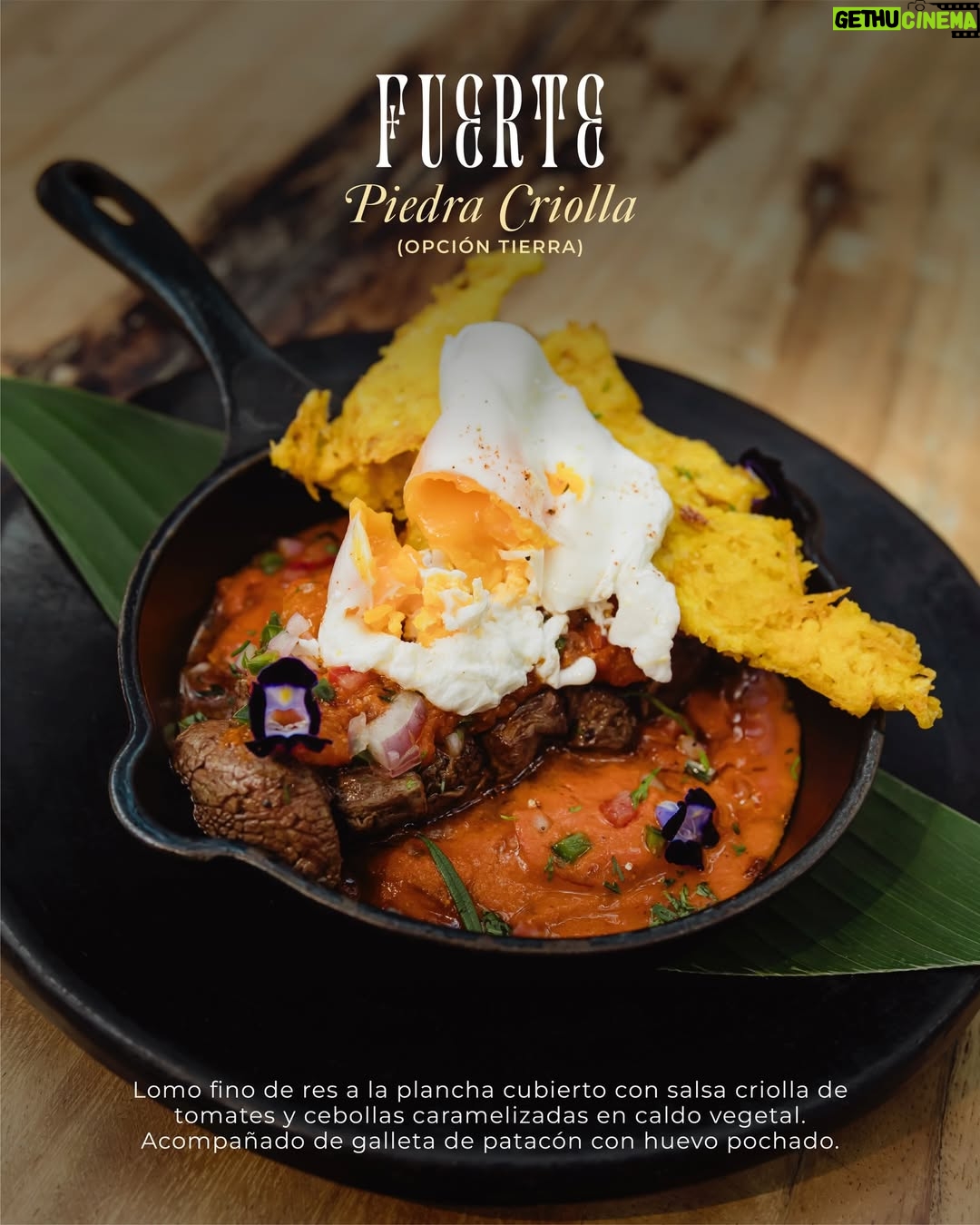 Estefanía Borge - 785 Likes - ✨ Pasadía en Cartagena, disponible por tiempo limitado.

En Éteka, el bienestar se vive —y se saborea— solo por un instante irrepetible.

Presentamos nuestro Seasonal Wellness Menu, una experiencia gastronómica creada junto a @estefiborge, disponible exclusivamente durante esta temporada.

Una propuesta pensada para quienes entienden que el verdadero lujo es efímero:

🍃 Entrada fresca que despierta los sentidos
✨ Platos principales inspirados en la tierra y el mar
🍫 Un postre final que invita a pausar, sentir y disfrutar sin culpa

Solamente disponible dentro de nuestro Pasadía VIP en Cartagena, diseñado para quienes buscan más que un destino: buscan conexión, belleza y sabor consciente.

📍 Éteka · Isla Tierra Bomba
⏳ Disponible por tiempo limitado
💬 Reserva tu pasadía en Cartagena antes de que esta experiencia se despida.