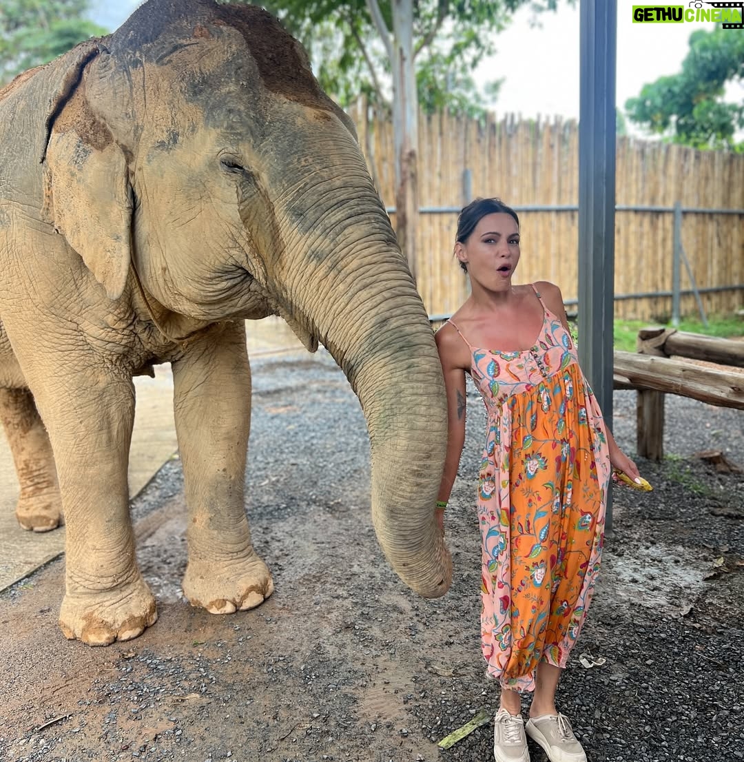 Eve Mauro - 1.1K Likes - Thought I was petting her. Turns out she was holding hands.