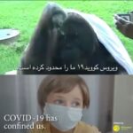 Fatemeh Goudarzi
