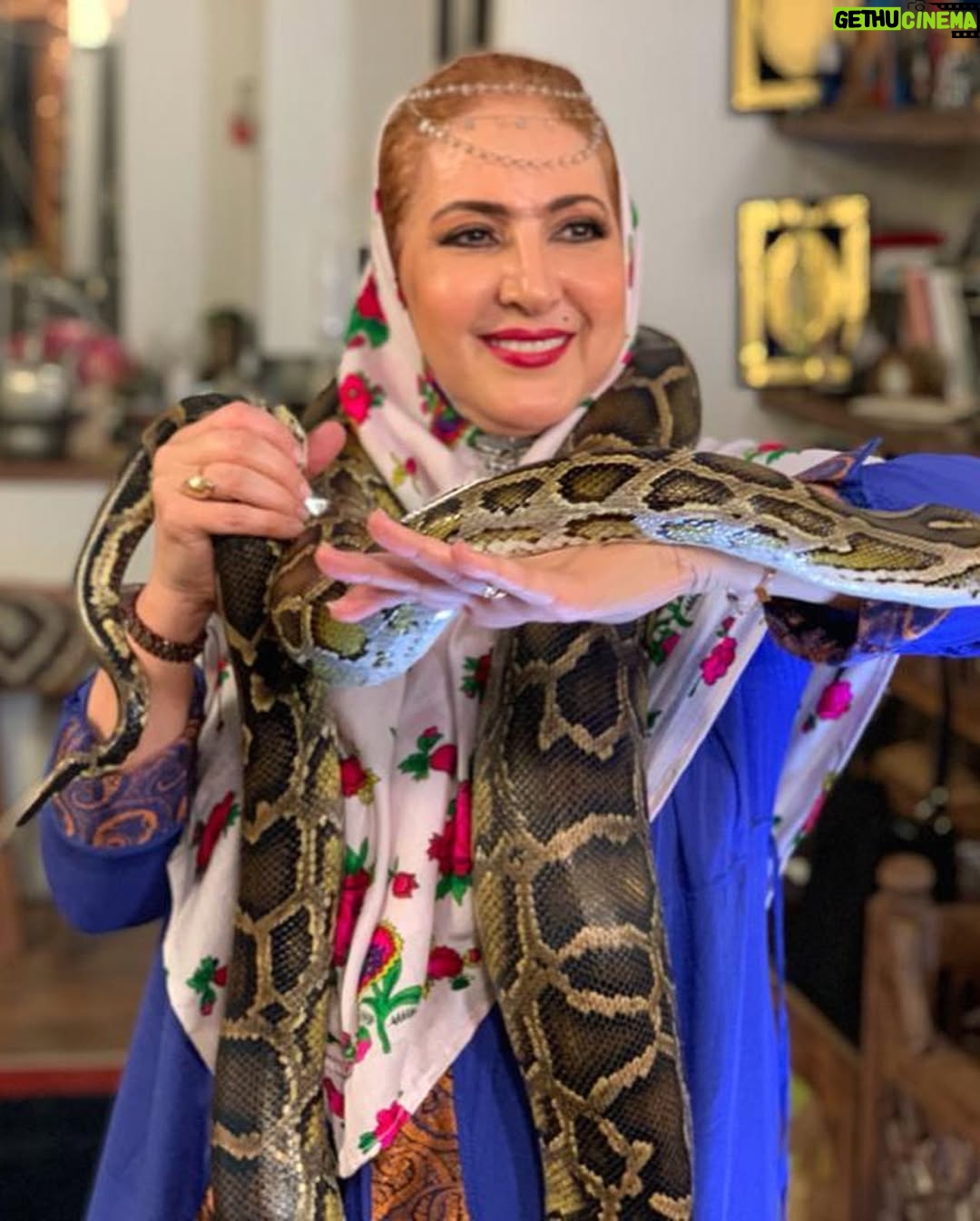 Fatemeh Goudarzi - 30.5K Likes - بازی با حیوانی که برای برنامه آمده بودمتوجه شدم یک بازیگر معروف است ودارای صفحه اینستاگرامی😳بهرحال عاشق حیوانات هستم پس با علاقه بغلش کردم البته اوهم همینطور ودقایقی بازی کردیم مرسی از نسیم جان ادبی که ایشون روهم دعوت کرده بود 🙏#شام_ایرانی  #فاطمه_گودرزی #fatemeh_goudarzi #دوستیهای_ناب #برنامه_غذایی #حمایت_از_حیوانات