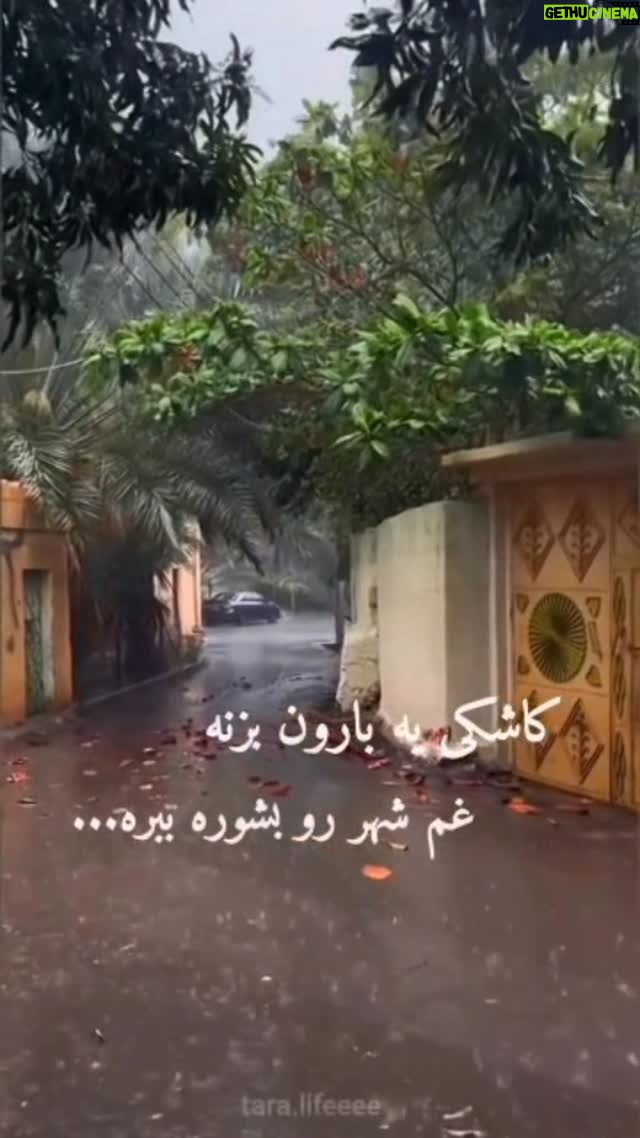 Fatemeh Goudarzi - 22.9K Likes - کاشکی یه بارون بزنه غم شهرو بشوره ببره 
اینجاشو که گیر افتادیم یک کمی زودتر بگذره
کاشکی شهر یادش بره باز پشت کوهها بمونه
یه خبری بشه بازم شادی بپیچه تو خونه
بگیم بخندیم هممون بازی بیفته دستمون
چه خوب بچینه واسمون همون خدای رنگین کمون
یهو بگیره کارمون فرقی نباشه بینمون 
اونایی که نیستن بیان چه جمعی میشه جمعمون
@hosseinparsaoriginal
