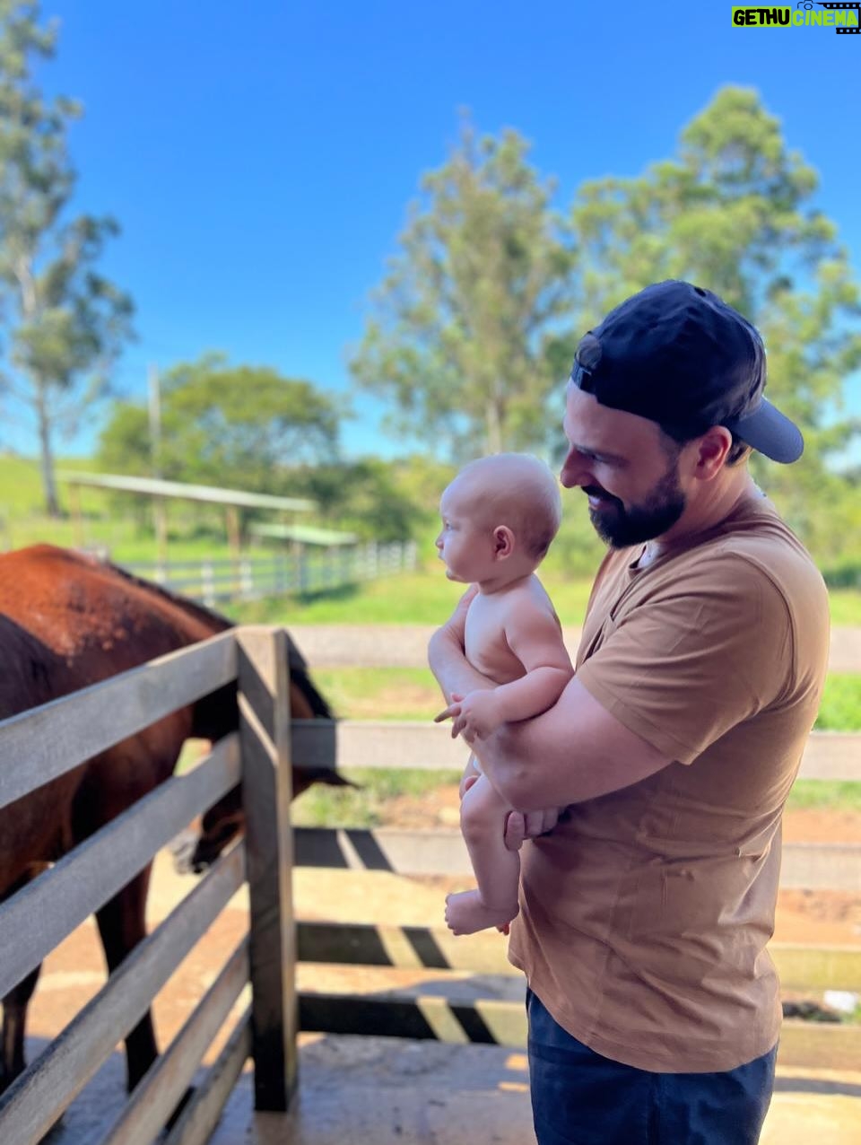 Fernanda Vasconcellos - 38.6K Likes - meu amor… 
você é luz nos nossos dias, todos os dias. segurança nos abraços e doçura nos beijinhos que dá na gente! 
é um privilégio dividir a vida com quem é uma delícia como pai, uma benção como filho, um presente como companheiro e uma alegria como amigo. 
que você receba em dobro todas as energias lindas que emana pro mundo e pra quem tem a sorte de estar pertinho de você. 
a gente te ama! 
vida longa, vida leve! 
parabéns!!!! @cassioreis