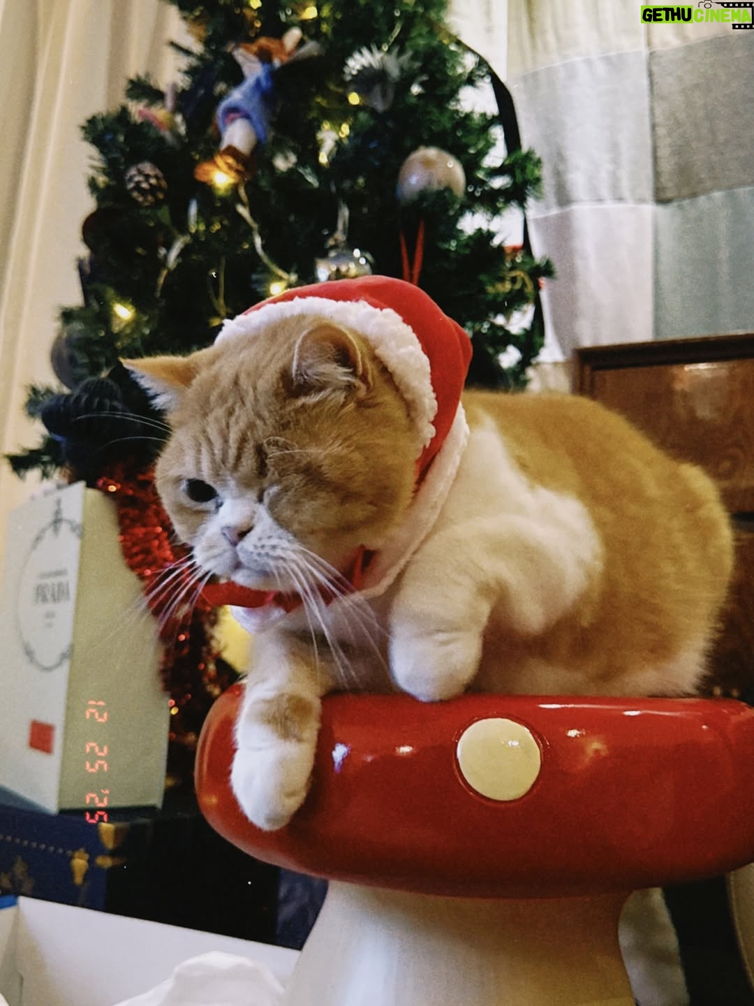 Fish Liew Chi-Yu - 14.9K Likes - 多麼多麼的高興
多麼多麼的溫暖
🎄
