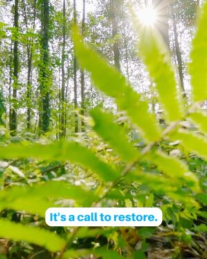 Frida Amani Instagram - Welcome @fridaamaniofficial, Tanzanian hip hop artist, as UNEP’s new Advocate for Ecosystem Restoration!
With her passion for conservation, she will raise awareness and inspire young people to prevent, halt, and reverse ecosystem degradation and drive toward the #GenerationRestoration movement.
It is no longer enough to lament nature’s loss – we must bring it back. We are Generation Restoration.
