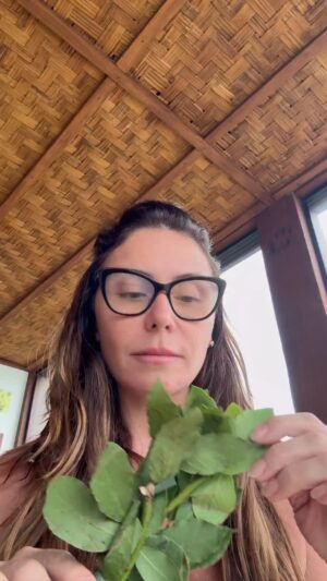 Giovanna Antonelli Instagram - Feliz Ano Novo!!!!! 💚🌟