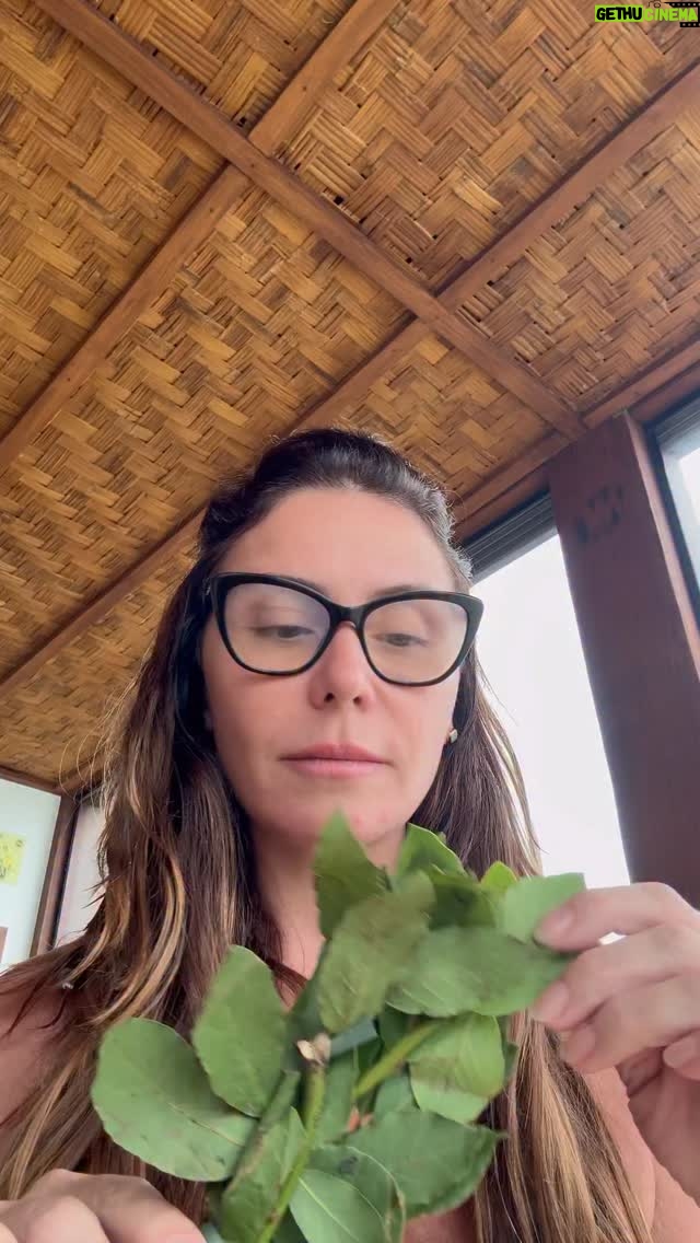 Giovanna Antonelli - 172K Likes - Feliz Ano Novo!!!!! 💚🌟