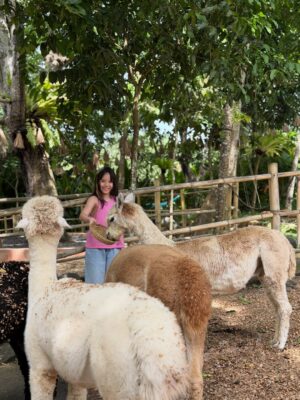 Gisella Anastasia Instagram - Sudah sebelas Gem🥹😭
Ngeliatin ini semua di galeri mama dari kemarin, membawa rasa syukur yang luar biasaaaaaaaa…
Manisnya kamu dari kecil..
Bawelnya..
Aktifnya..
Semuanya masi ada sampe sekarang, cuman agak lebih malu aja dikittt 🤏hihi..
Namun tetep sangat gemas dan membanggakan buat mama..
Forever grateful for your presence in my life..
Semoga semakin mandiri, semakin bisa fokus serius dalam mengerjakan apapun😜😜 , semoga bisa bertumbuh baik dan berbuah manis yaa Gem…
Selalu sayang Tuhan, papa dan mama, juga manis dan baik pada semuanya..
Love u tomaaattt gempitong slay gempoh cinta manis cinta karet kesayangan mama pujaan bangsaaaaaaaaaaaaaaaaaa😝😍❤️💕🥹