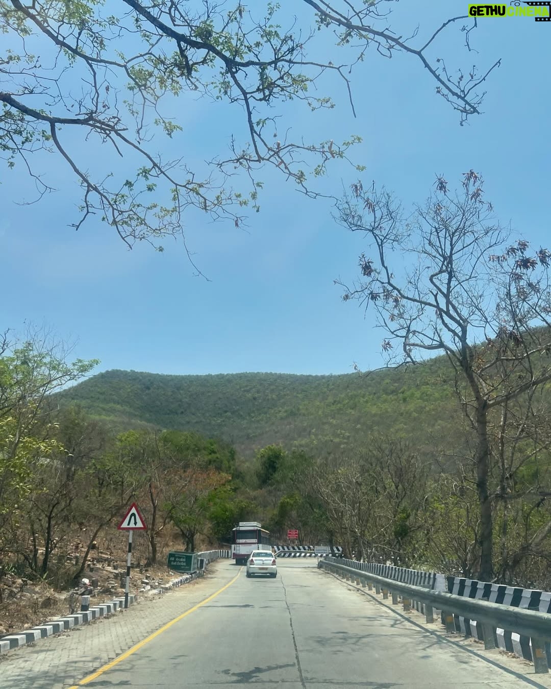 Gowri shruthi - 74K Likes - Tirupati 🛕🪷
.
.
.
#tirupati #southindia #southindiantemple #tirupatibalaji #divine