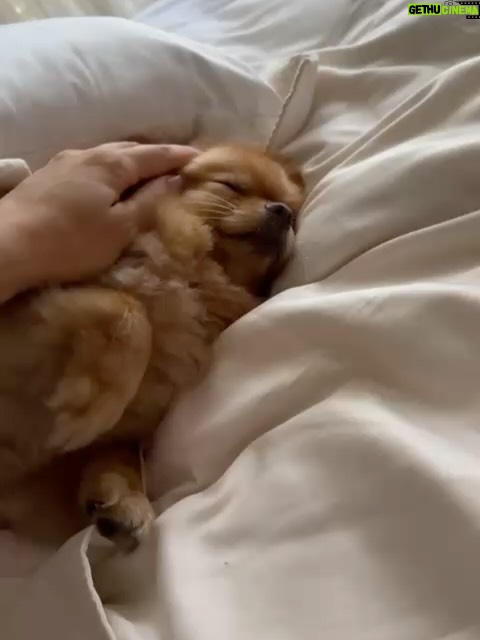 Grazi Massafera - 109.5K Likes - É… mais um novo ciclo !!!! Mais um ano de frio na barriga depois de decidir um caminho importante na vida, de amores ao meu lado, de incertezas e medo também, de risadas e emoções incontidas. 
A vida é meio esse “esquenta, esfria”, agita e aquieta, faz parte, e sigo nesse delírio gostosinho do imprevisível achando às vezes que posso controlar algo rs !!! Sempre firme nas coisas que acredito, na conexão com a minha essência, na curiosidade do que vem ao virar a esquina e no meu desejo de viver cada dia mais.
O carinho e a ternura são cura pra essa canceriana raiz e impulsionam meu caminho nessa vida doida e cheia de emoções. Isso aquece meu coração e me dá ainda mais coragem. Muito obrigada por fazerem parte de metade desses 43 🌈🫶⚡️☀️ desde 2005 ❤️