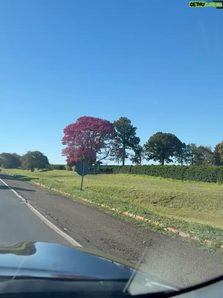 Grazi Massafera - 265K Likes - Estive, há poucos dias, na cidade onde nasci. O motivo não foi passeio, mas um susto poucos dias antes do dia dos pais. Graças a Deus tudo está bem 🙏
Abracei muitoooo meu pai, visitei minha família que é muito grande (muito mesmo), me reconectei com minha essência, infância e adolescência a cada passo. E Sofia respirava junto comigo cada lembrança, cada cantinho, cada memória que eu apresentava ou ouvia, e isso foi mágico ! Entre um momento e outro, olhava pra ela com os olhos brilhando contrastando com os meus e pensava: que dádiva ser mãe de Sofia, que pessoa linda e como a amo mais a cada dia !! Como isso é possível ? 
A genética tem seus mistérios, como se existisse algo sobrenatural. Ela também se sente em casa, se encaixa como se vivesse ali. 
Os anos passam e quando nos encontramos nem parece que vivo tão longe há tantos anos, mais de 20. 
As cidades de interior e seu povo (sou suspeita em dizer) têm seu charme, uma energia, um tempo diferente, místico mesmo. Um caos e minha família que não fecha a boca, fala alto, abraça forte e faz piada até nos momentos tristes. E eu me sinto no ninho. 
A tia fez o almoço de domingo, as primas fazem fofoca de todos kkkkk !
Não paramos de comer. Lembranças e mais lembranças e mais fofocas de família (eu preciso de atualizações, mesmo sendo as mesmas de sempre kkkkkkk). 
As lembranças da infância, as dores e doenças da idade, as risadas, os bebês pedindo colinho …
Voltei já com saudade e o coração quentinho 🫶🥰✨
