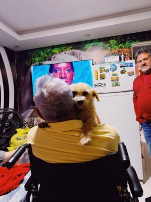 Grazi Massafera Instagram - Estive, há poucos dias, na cidade onde nasci. O motivo não foi passeio, mas um susto poucos dias antes do dia dos pais. Graças a Deus tudo está bem 🙏
Abracei muitoooo meu pai, visitei minha família que é muito grande (muito mesmo), me reconectei com minha essência, infância e adolescência a cada passo. E Sofia respirava junto comigo cada lembrança, cada cantinho, cada memória que eu apresentava ou ouvia, e isso foi mágico ! Entre um momento e outro, olhava pra ela com os olhos brilhando contrastando com os meus e pensava: que dádiva ser mãe de Sofia, que pessoa linda e como a amo mais a cada dia !! Como isso é possível ? 
A genética tem seus mistérios, como se existisse algo sobrenatural. Ela também se sente em casa, se encaixa como se vivesse ali. 
Os anos passam e quando nos encontramos nem parece que vivo tão longe há tantos anos, mais de 20. 
As cidades de interior e seu povo (sou suspeita em dizer) têm seu charme, uma energia, um tempo diferente, místico mesmo. Um caos e minha família que não fecha a boca, fala alto, abraça forte e faz piada até nos momentos tristes. E eu me sinto no ninho. 
A tia fez o almoço de domingo, as primas fazem fofoca de todos kkkkk !
Não paramos de comer. Lembranças e mais lembranças e mais fofocas de família (eu preciso de atualizações, mesmo sendo as mesmas de sempre kkkkkkk). 
As lembranças da infância, as dores e doenças da idade, as risadas, os bebês pedindo colinho …
Voltei já com saudade e o coração quentinho 🫶🥰✨