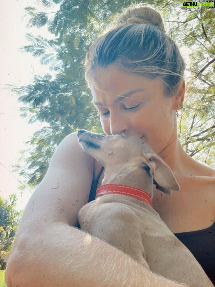 Grazi Massafera - 109.5K Likes - É… mais um novo ciclo !!!! Mais um ano de frio na barriga depois de decidir um caminho importante na vida, de amores ao meu lado, de incertezas e medo também, de risadas e emoções incontidas. 
A vida é meio esse “esquenta, esfria”, agita e aquieta, faz parte, e sigo nesse delírio gostosinho do imprevisível achando às vezes que posso controlar algo rs !!! Sempre firme nas coisas que acredito, na conexão com a minha essência, na curiosidade do que vem ao virar a esquina e no meu desejo de viver cada dia mais.
O carinho e a ternura são cura pra essa canceriana raiz e impulsionam meu caminho nessa vida doida e cheia de emoções. Isso aquece meu coração e me dá ainda mais coragem. Muito obrigada por fazerem parte de metade desses 43 🌈🫶⚡️☀️ desde 2005 ❤️