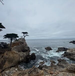 Greidys Gil Instagram - Las fotos y videos no le hacen justicia a este lugar pero aquí un poquito de su belleza!🤩🙏🏻 Los videos del final!!! ❤️😍
.
.
.
#USA #carmel #Monterrey #california #ballenas #focas #vacationmode #family #familytime #mountains #pacificocean
