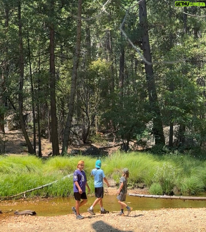 Greidys Gil - 1.9K Likes - Gracias Dios por tu creación porque es perfecta! 🤩  Nuestras vacaciones empezaron en Yosemite, las sequoias son gigantes, miren la foto 4. 🤪 BTW vean los videos al final que nos sorprendió un oso, obvio que el susto y la corrida que nos echamos no salió en los videos 🤣
.
.
.
#familyvacation #family #yosemite #california #summer #mountains