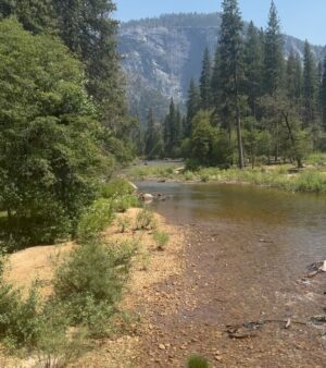 Greidys Gil Instagram - Gracias Dios por tu creación porque es perfecta! 🤩  Nuestras vacaciones empezaron en Yosemite, las sequoias son gigantes, miren la foto 4. 🤪 BTW vean los videos al final que nos sorprendió un oso, obvio que el susto y la corrida que nos echamos no salió en los videos 🤣
.
.
.
#familyvacation #family #yosemite #california #summer #mountains