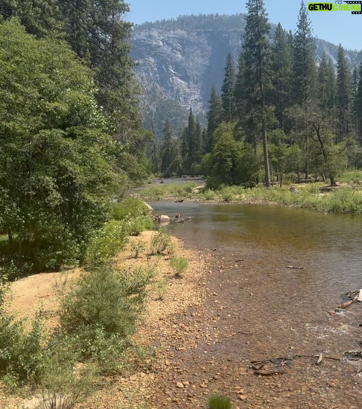 Greidys Gil - 1.9K Likes - Gracias Dios por tu creación porque es perfecta! 🤩  Nuestras vacaciones empezaron en Yosemite, las sequoias son gigantes, miren la foto 4. 🤪 BTW vean los videos al final que nos sorprendió un oso, obvio que el susto y la corrida que nos echamos no salió en los videos 🤣
.
.
.
#familyvacation #family #yosemite #california #summer #mountains
