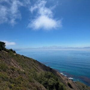 Greidys Gil Instagram - Las fotos y videos no le hacen justicia a este lugar pero aquí un poquito de su belleza!🤩🙏🏻 Los videos del final!!! ❤️😍
.
.
.
#USA #carmel #Monterrey #california #ballenas #focas #vacationmode #family #familytime #mountains #pacificocean