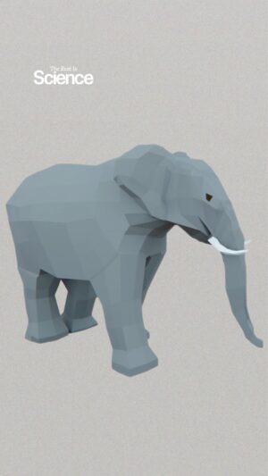 Hannah Fry Instagram - Elephants, sadly in this case, never forget.